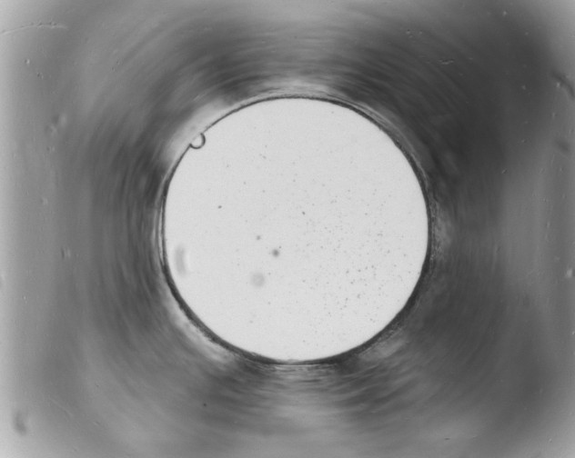 X0000103971391200810171914