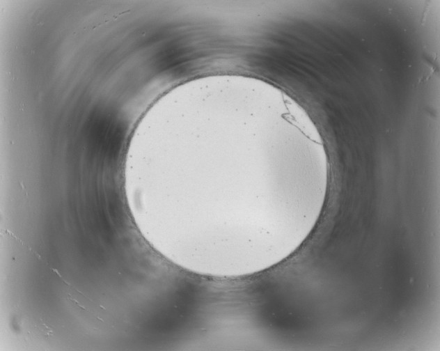 X0000103971392200810171914