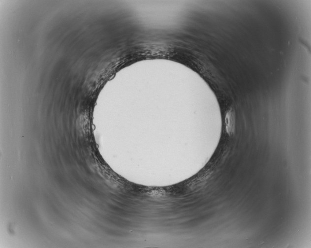 X0000103971395200810171914