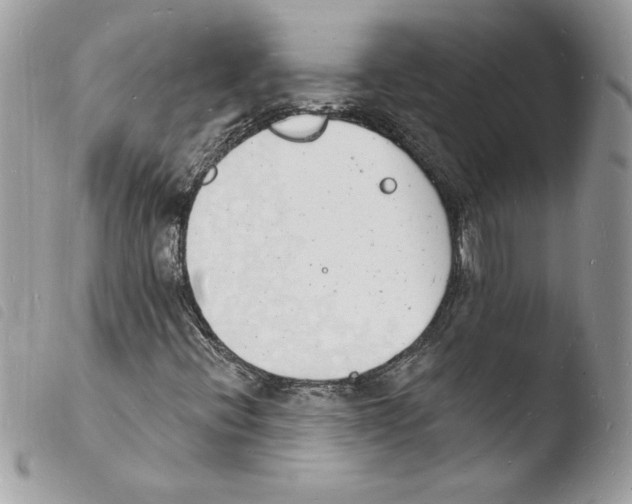 X0000103971396200810171914