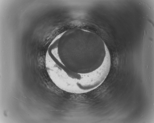 X0000103971397200810171914