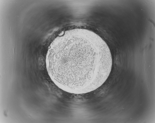 X0000103971398200810171914