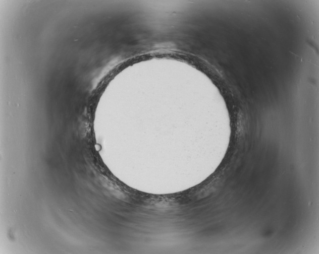 X0000103971400200810171914