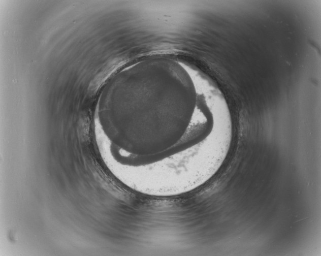 X0000103971401200810171914