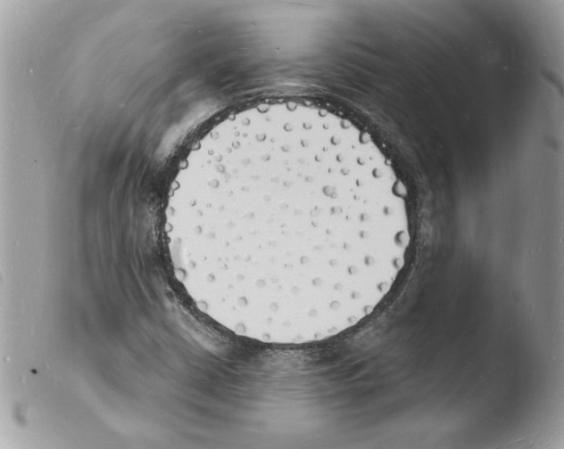 X0000103971402200810171914