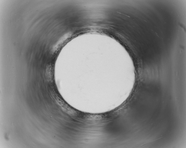 X0000103971403200810171914