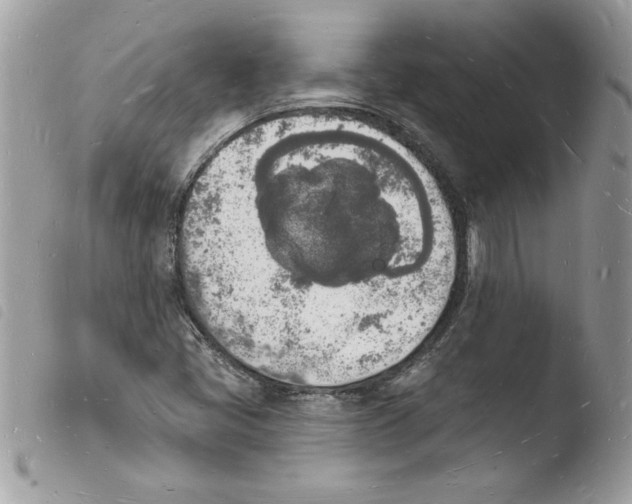 X0000103971405200810171914