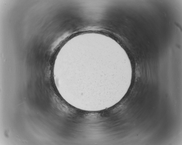 X0000103971406200810171914