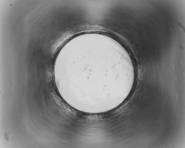 X0000103971407200810171914