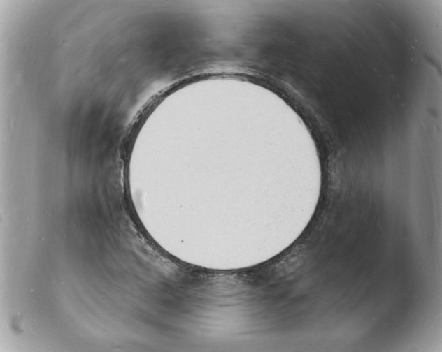 X0000103971408200810171914