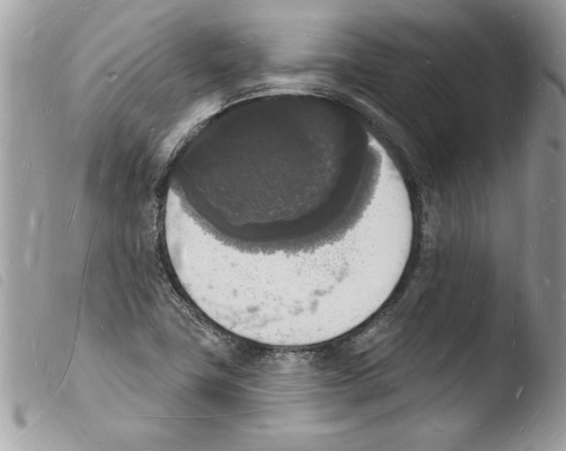 X0000103971411200810171914