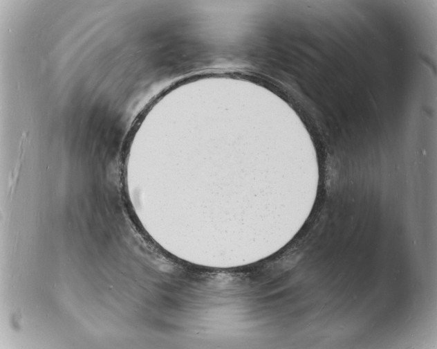 X0000103971412200810171914