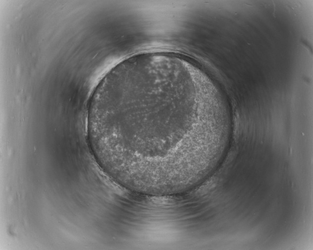 X0000103971413200810171914