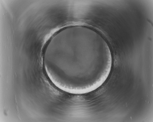 X0000103971414200810171914