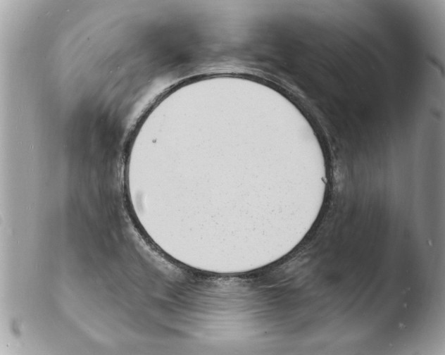 X0000103971416200810171914