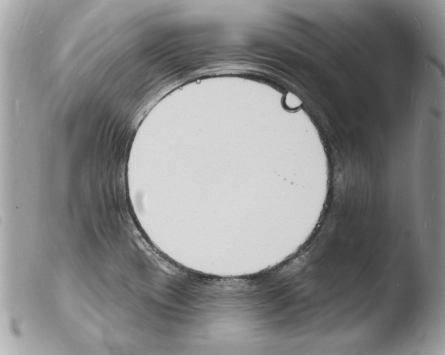 X0000103971417200810171914