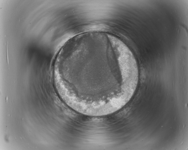 X0000103971419200810171914