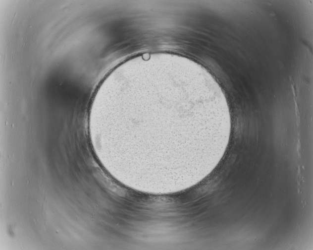 X0000103971420200810171914