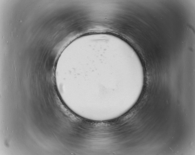 X0000103971421200810171914