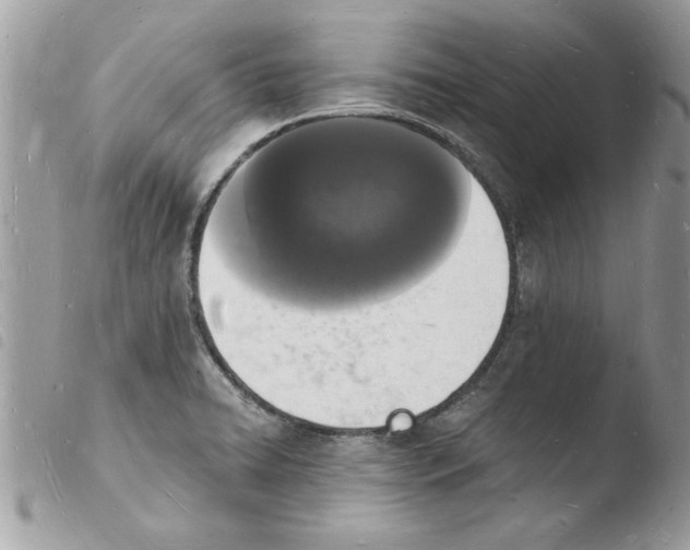 X0000103971422200810171914