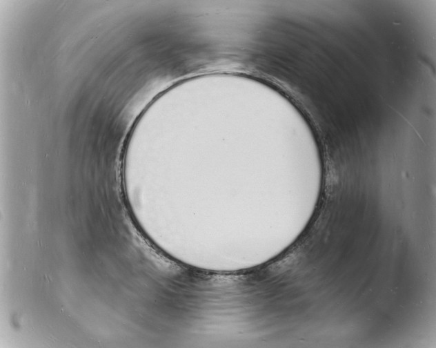 X0000103971423200810171914