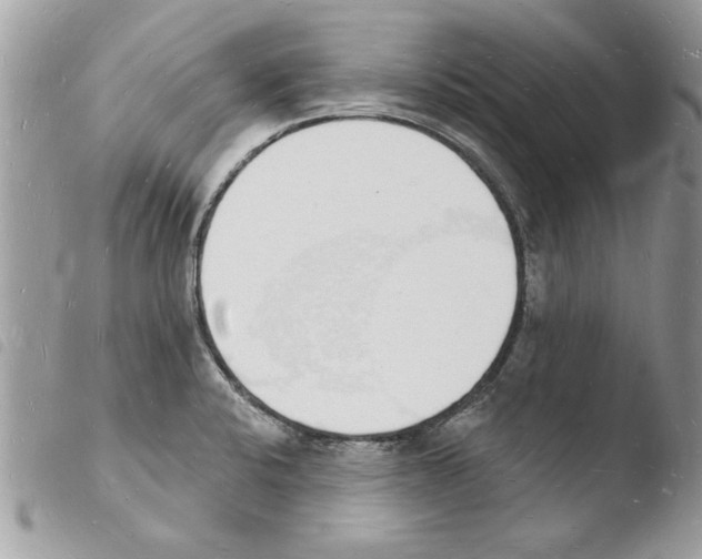 X0000103971424200810171914