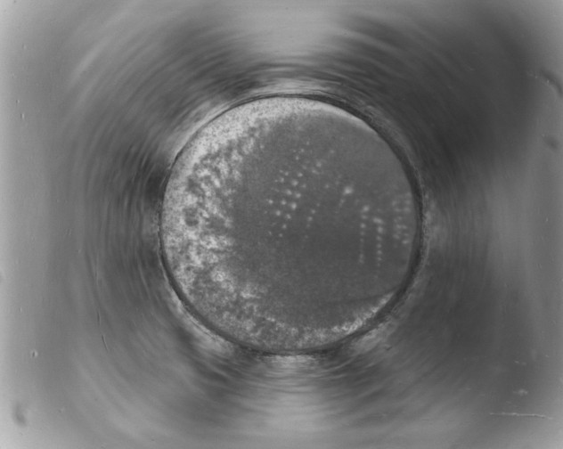 X0000103971425200810171914