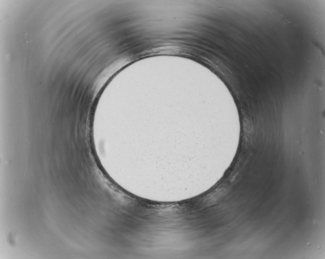 X0000103971426200810171914