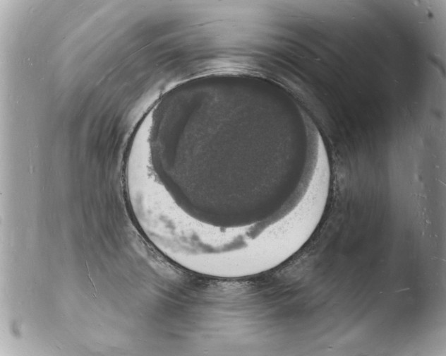 X0000103971427200810171914