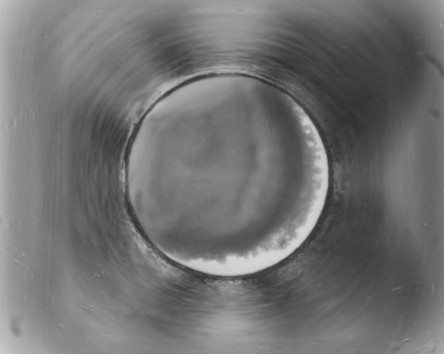 X0000103971428200810171914