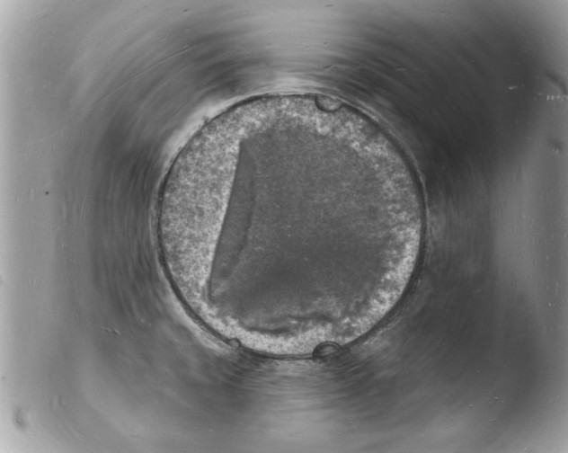 X0000103971429200810171914