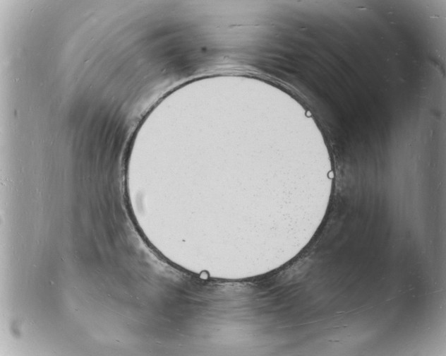 X0000103971430200810171914