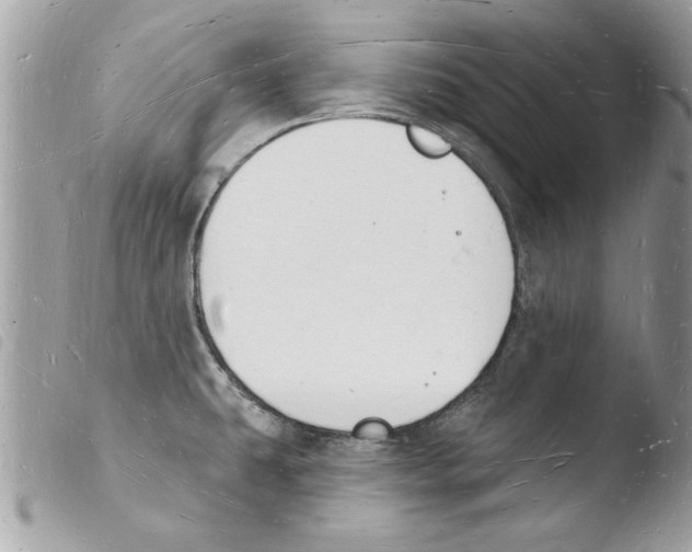 X0000103971431200810171914