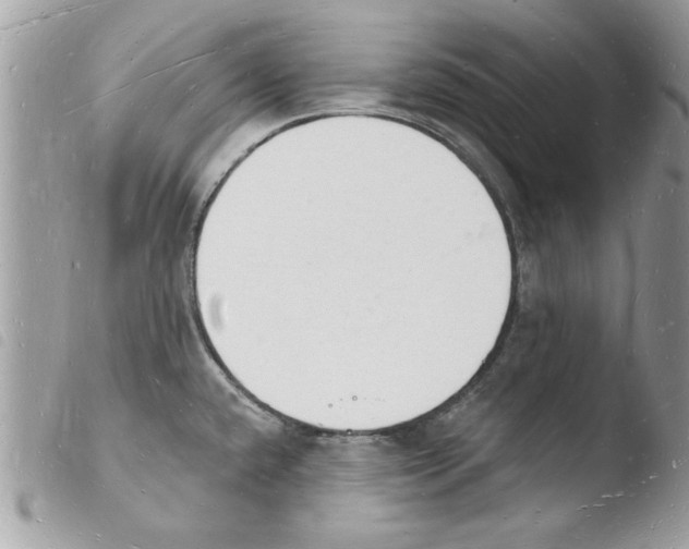 X0000103971432200810171914