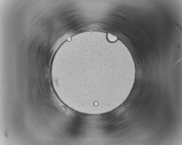 X0000103971434200810171914