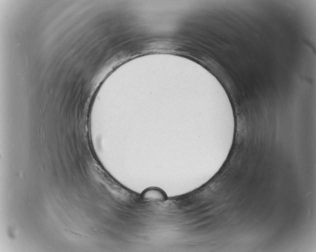 X0000103971435200810171914