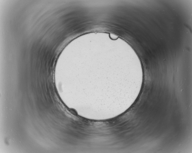 X0000103971436200810171914