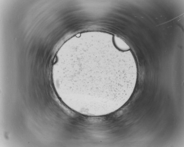 X0000103971437200810171914