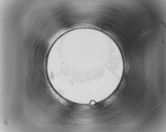 X0000103971438200810171914