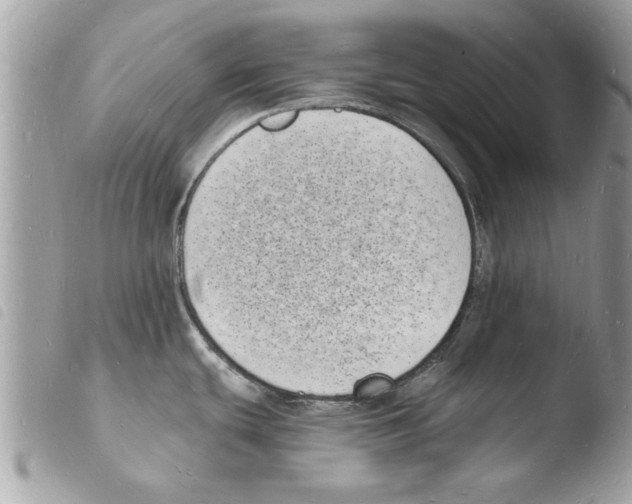 X0000103971439200810171914