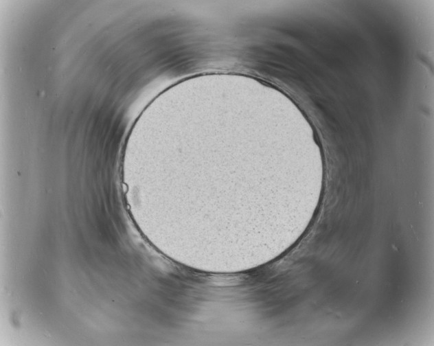 X0000103971440200810171914