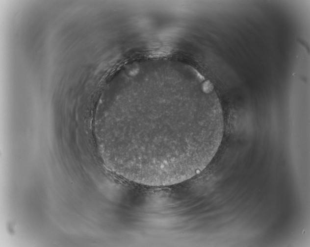 X0000103971441200810171914