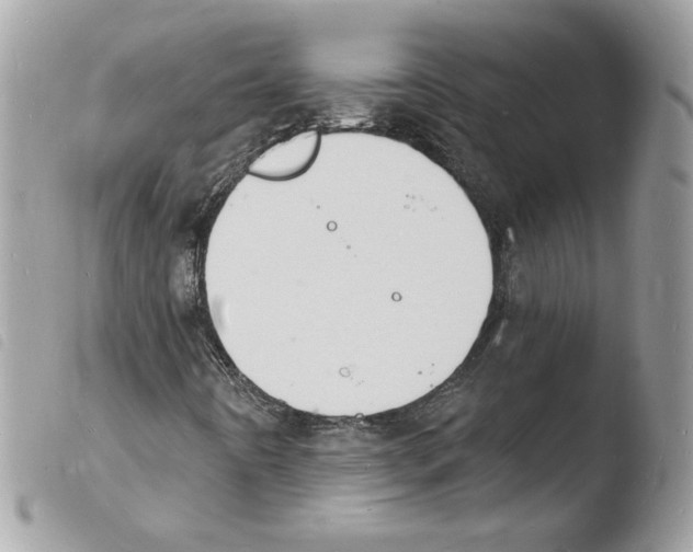 X0000103971442200810171914