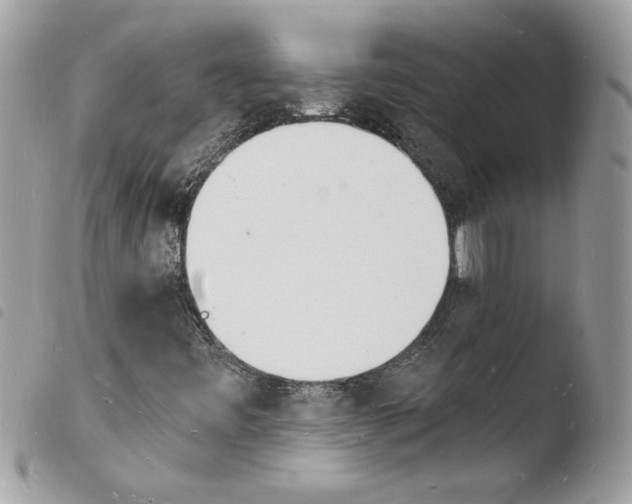 X0000103971443200810171914