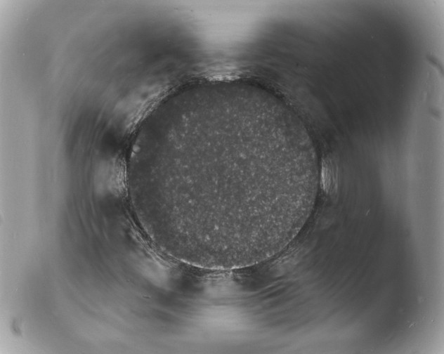 X0000103971444200810171914