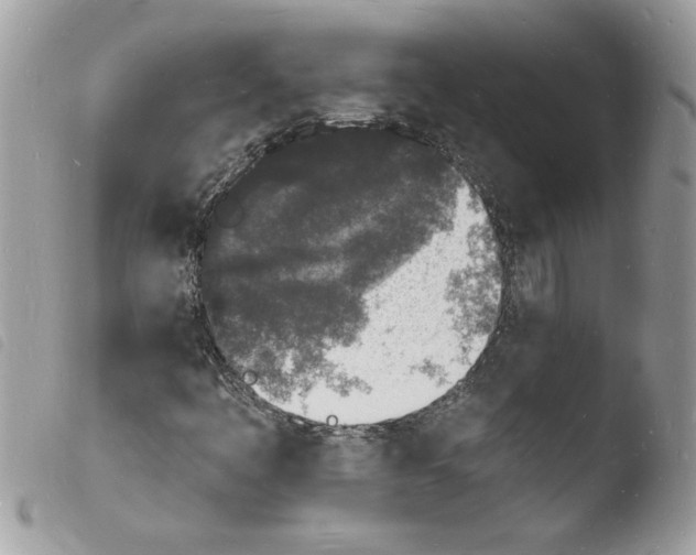 X0000103971445200810171914