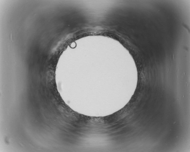 X0000103971447200810171914