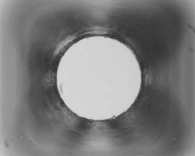 X0000103971448200810171914