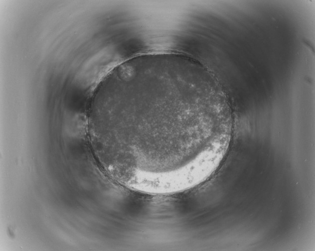 X0000103971449200810171914