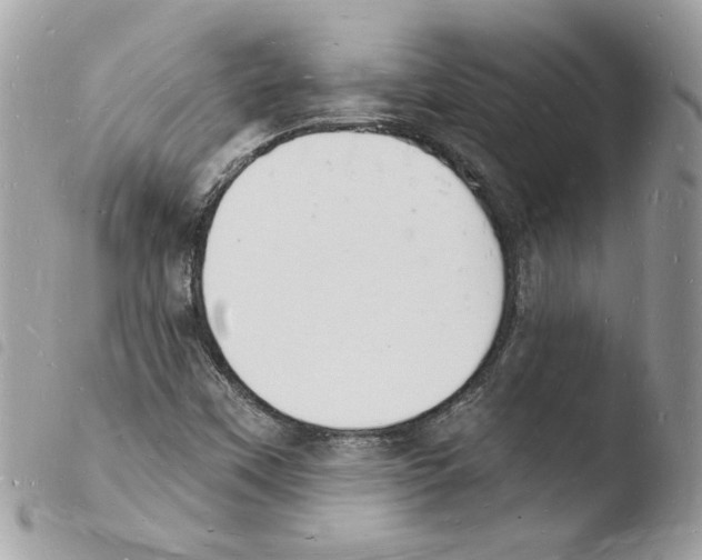 X0000103971451200810171913